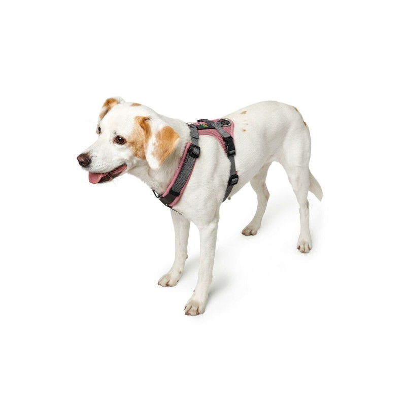 Harnais pour Chien Hunter Maldon Up Rose 38-62 cm