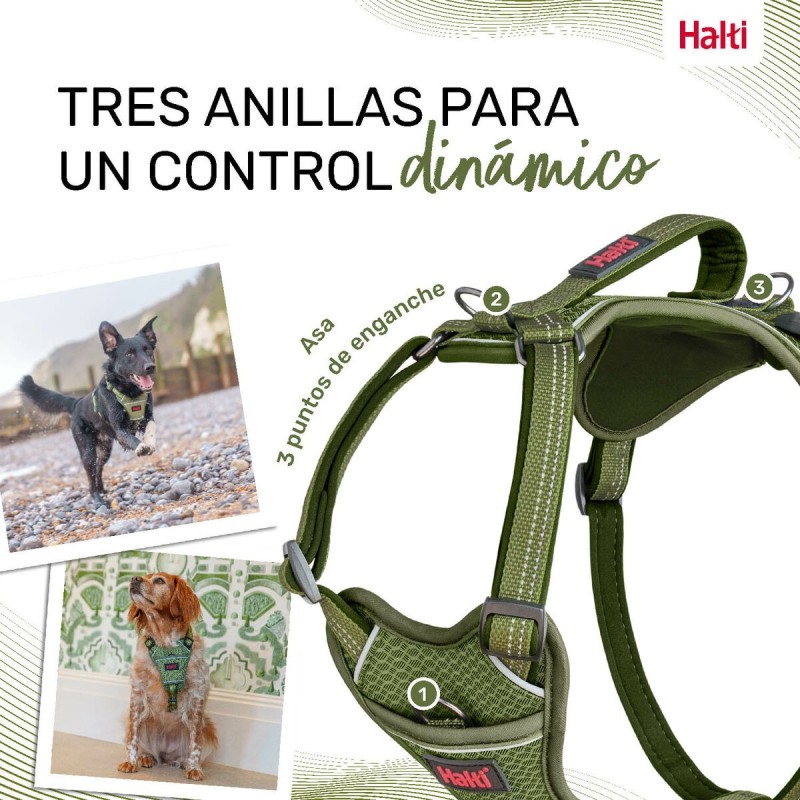 Harnais pour Chien Company of Animals Vert M 35-55 cm