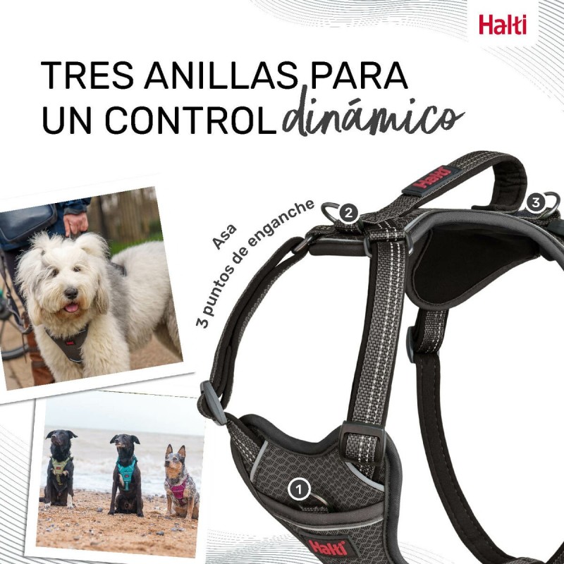 Harnais pour Chien Company of Animals Gris L 42-65 cm