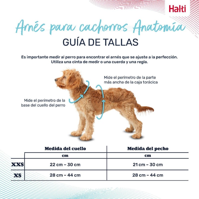 Harnais pour Chien Company of Animals Gris XXS 22-30 cm