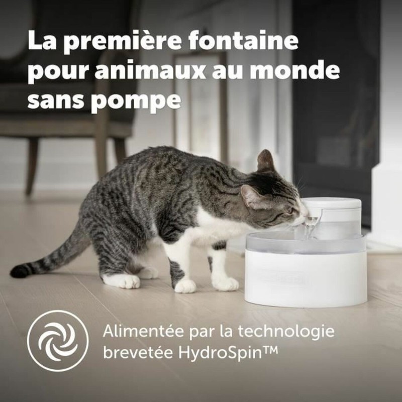 Fontaine pour Animaux de Compagnie PetSafe Blanc