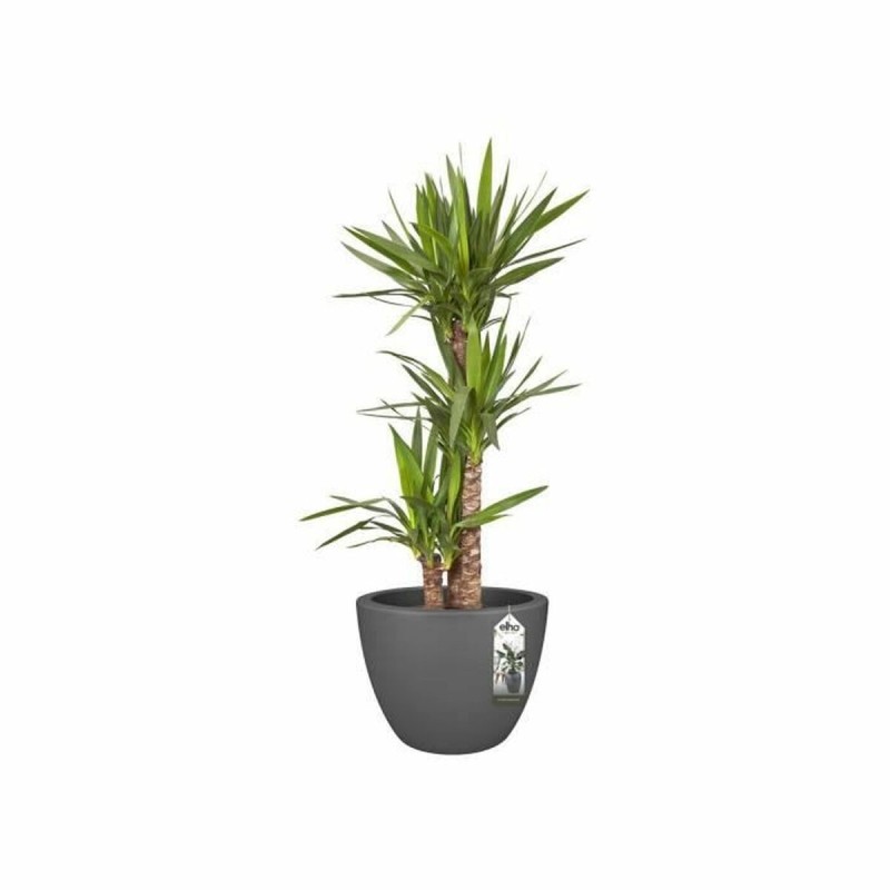 Pot Elho Anthracite Ø 39 cm Plastique Rond