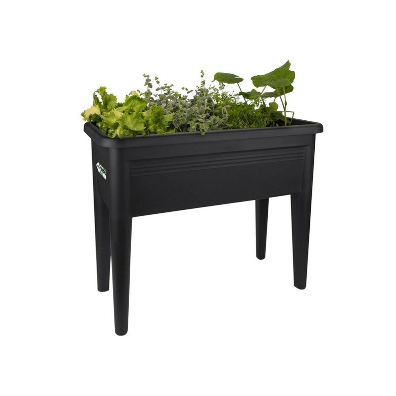 Support de plantation Elho Green Basics XXL Noir Plastique 75 cm