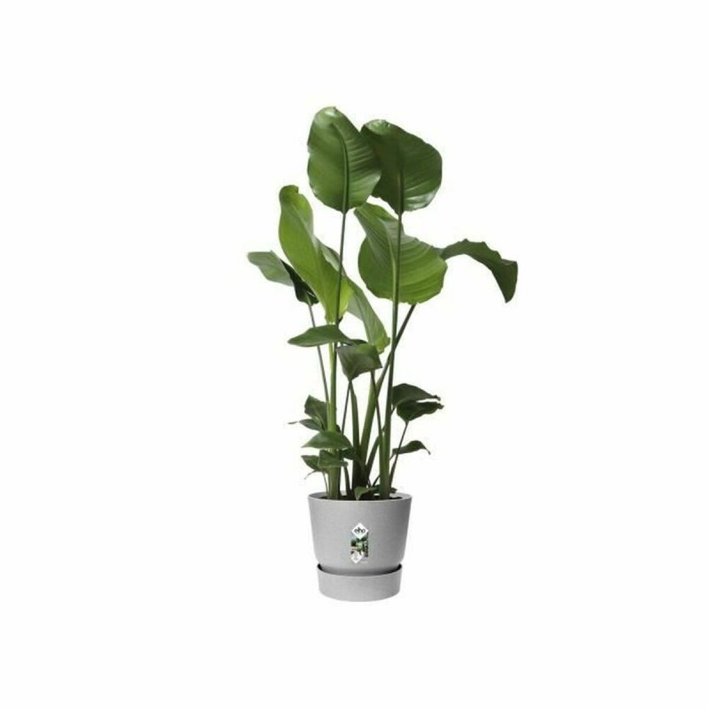 Pot Elho Greenville Ø 24,48 cm Plastique