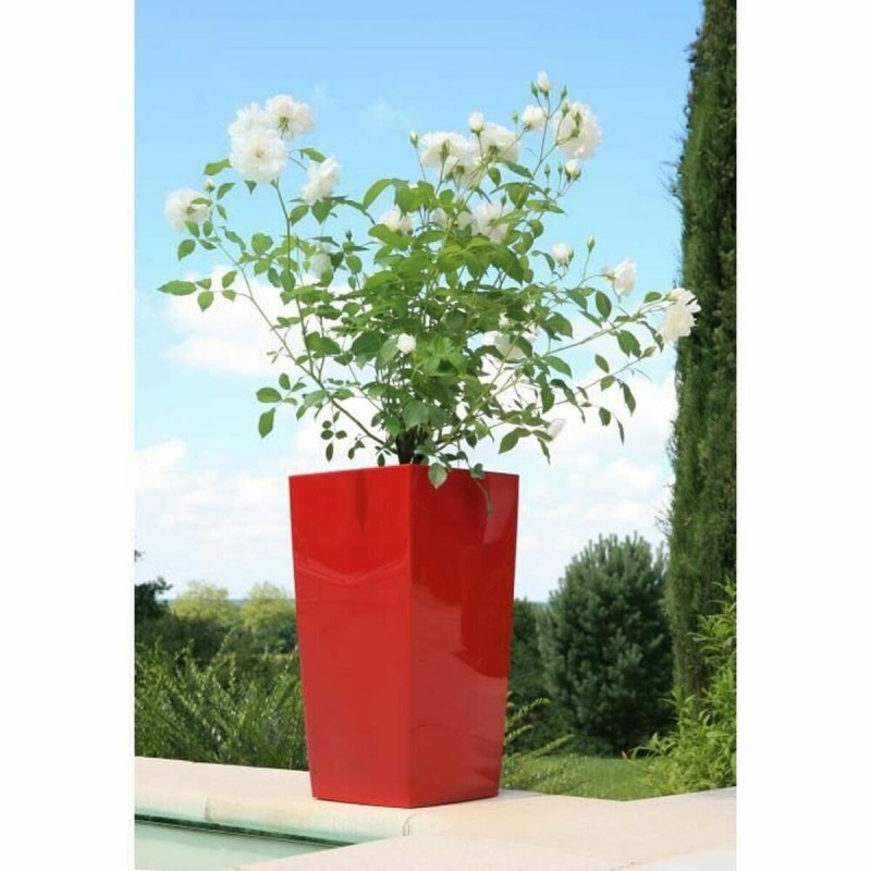 Pot Riviera Rouge Plastique Carré Rond Moderne 29 x 29 x 52 cm 29 x 29 cm