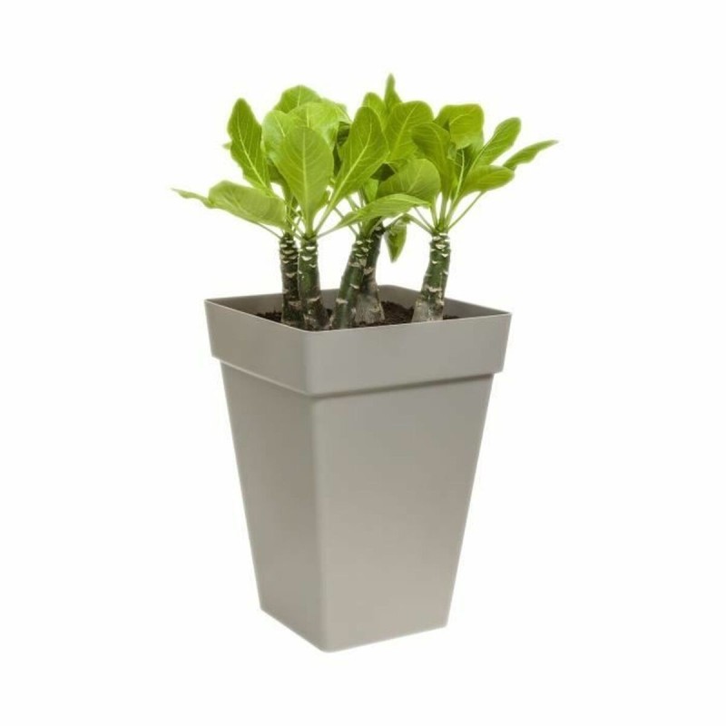 Pot Elho Anthracite polypropylène Plastique Carré Moderne 37 cm