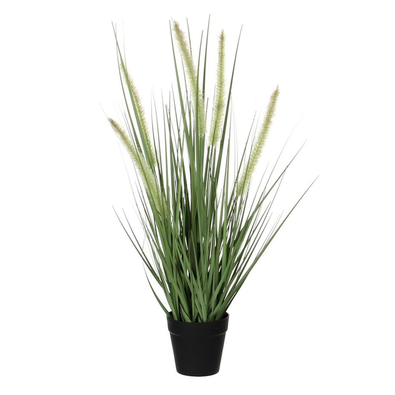 Plante décorative Mica Decorations Dogtail PVC