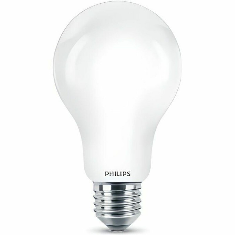 Lampe LED Philips D 150 W 17