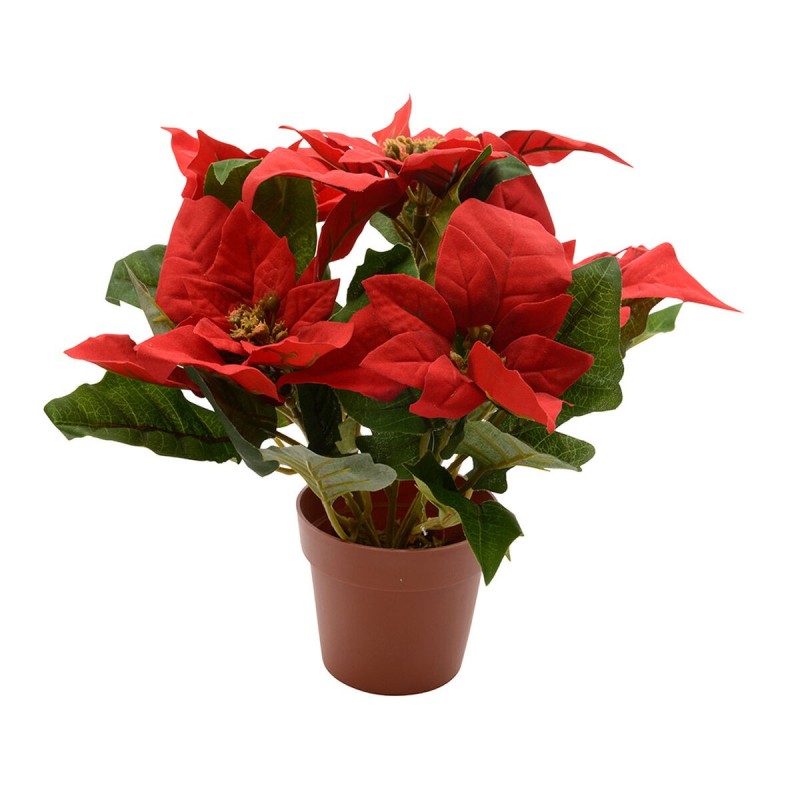 Plante décorative Lifetime Rouge Poinsettia Ø 27 cm