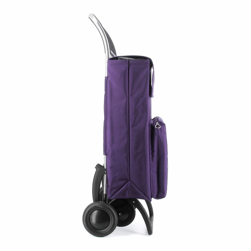 Panier à Courses Rolser termo fresh mf 4.2 more Violet Pliable