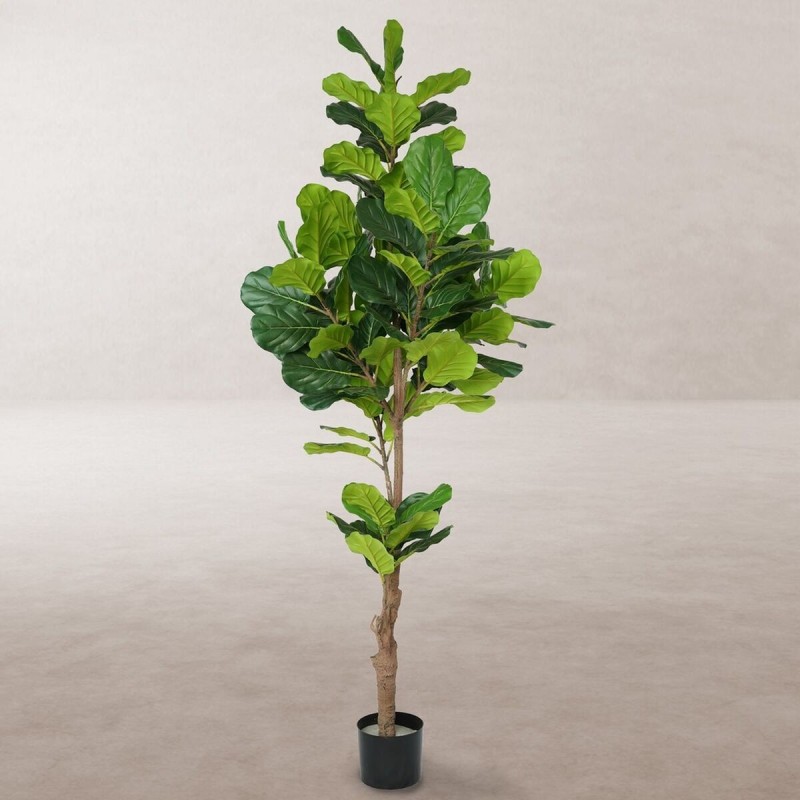 Plante décorative Polyuréthane Ciment Ficus 200 cm