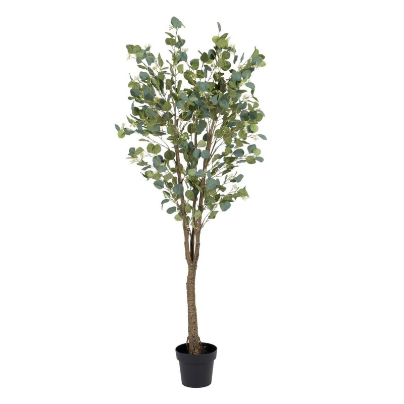 Plante décorative 80 x 75 x 173 cm Vert PVC Eucalyptus