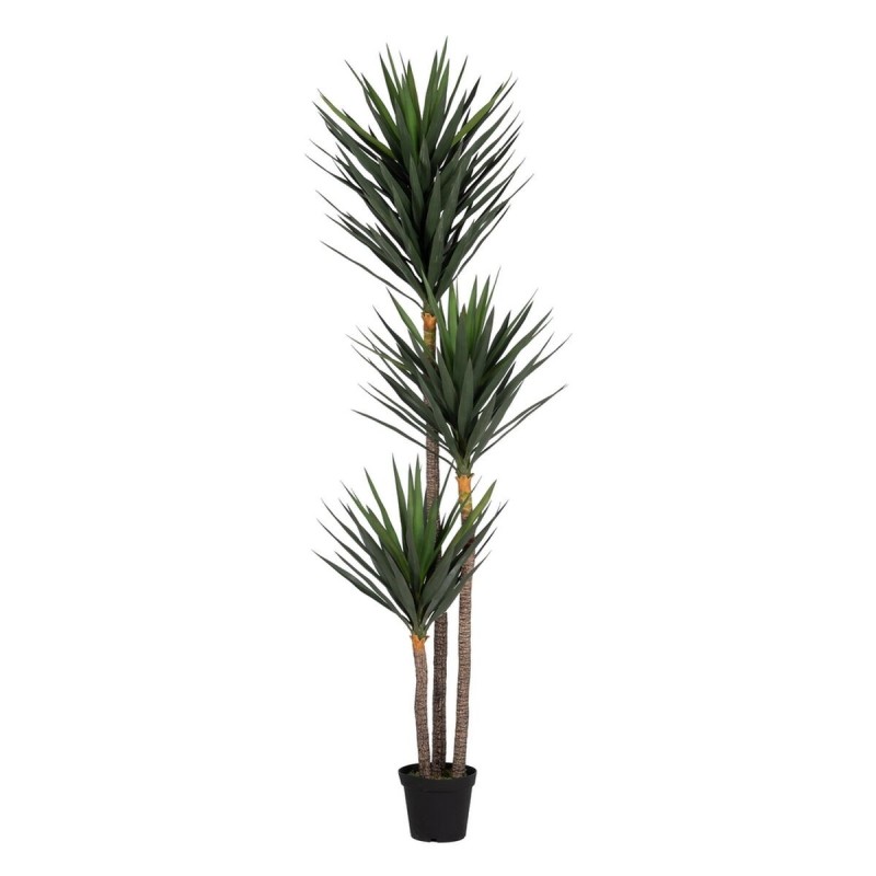 Plante décorative Polyéthylène Fer Ciment yucca 30 x 30 x 250 cm