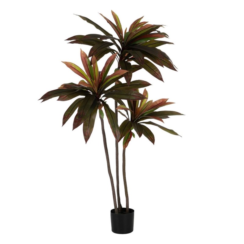 Plante décorative Caoutchouc polypropylène 80 X 80 X 165 CM