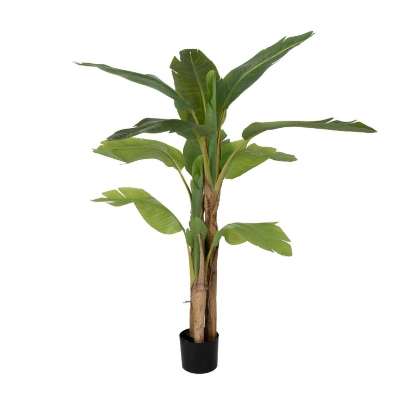 Plante décorative Caoutchouc 90 X 90 X 125 CM