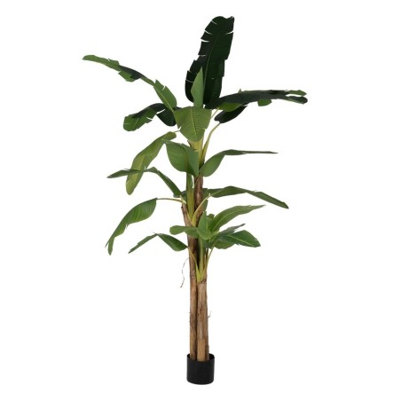 Plante décorative Caoutchouc Bananière 120 x 120 x 280 cm