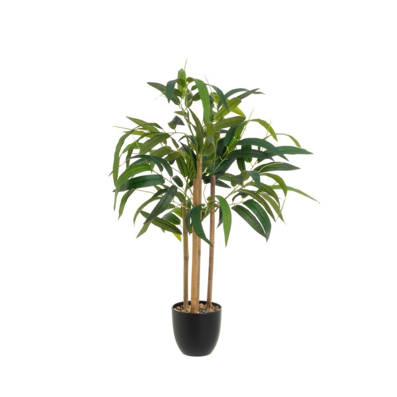 Plante décorative Polyester polypropylène Eucalyptus 61 x 61 x 80 cm