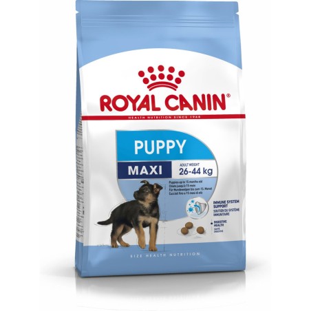 Nourriture Royal Canin Maxi Puppy Petit/Junior Poulet Riz Oiseaux 4 Kg