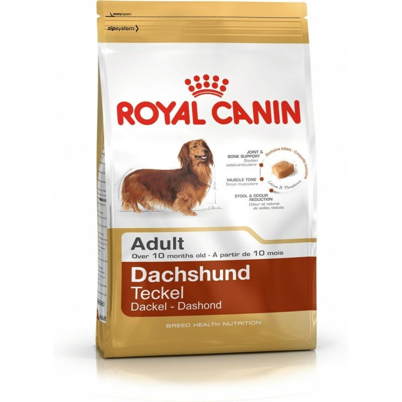 Nourriture Royal Canin Dachshund Adult Adulte Poulet Riz Oiseaux 1