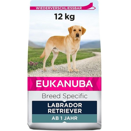 Nourriture Eukanuba Adulte Poulet Dinde 12 kg