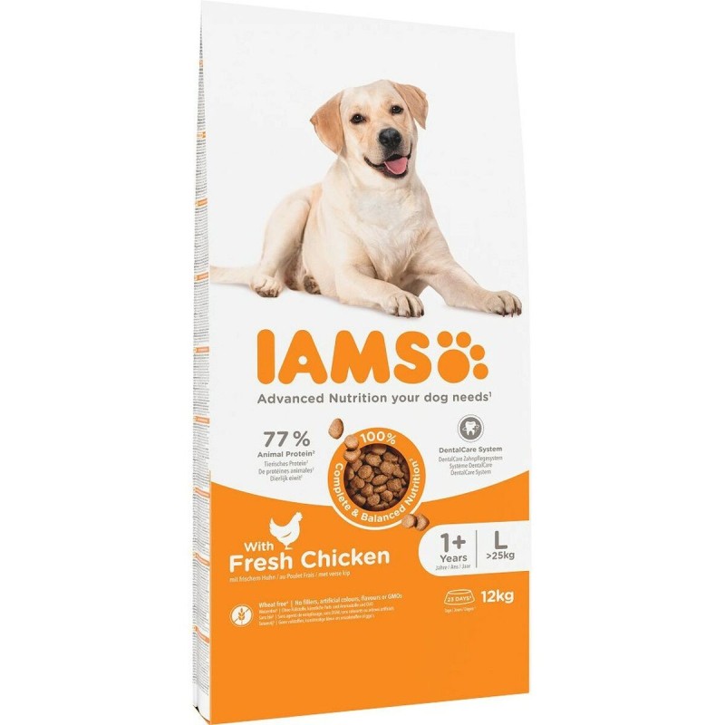 Nourriture IAMS Vitality Adult Large Breed Poulet 12 kg