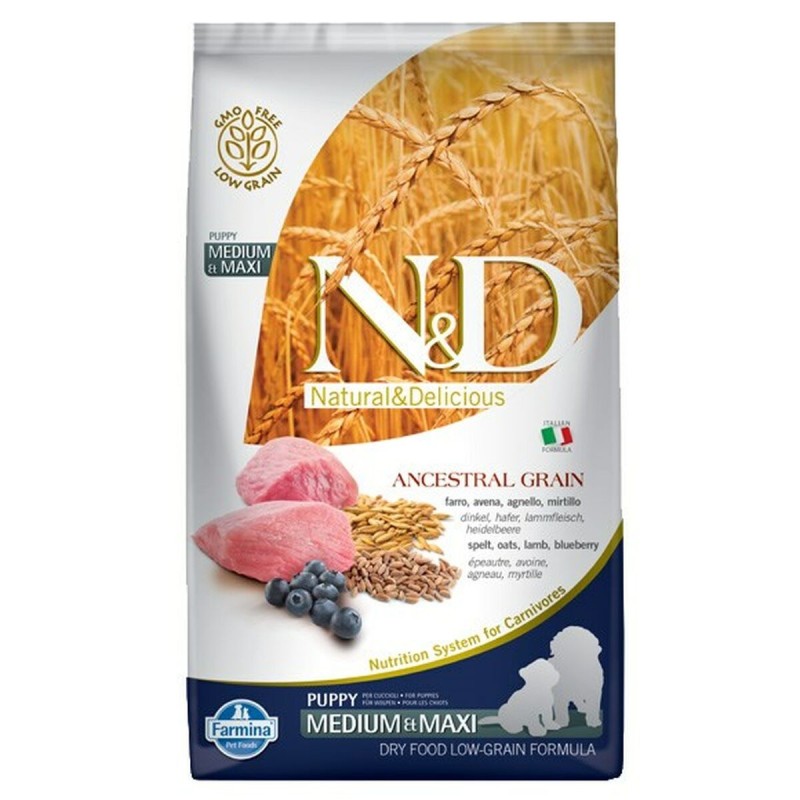 Nourriture Farmina Grain Puppy Medium&Maxi Lamb Agneau 12 kg