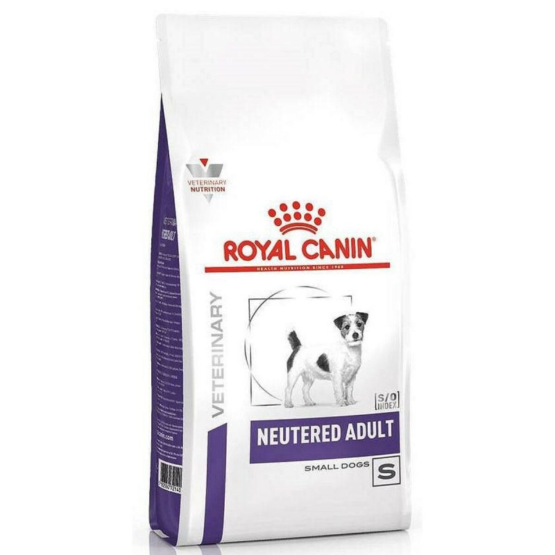 Nourriture Royal Canin Neutered Adult Small VHN Adulte Maïs Oiseaux Cochon 3