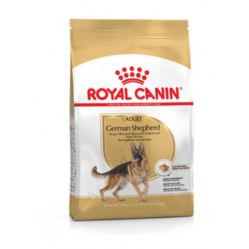 Nourriture Royal Canin German Shepherd Adult 11kg Adulte Poulet Riz Légumes Oiseaux 11 Kg