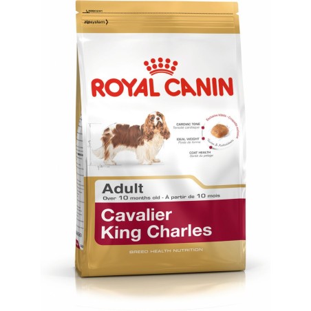 Nourriture Royal Canin Cavalier King Charles Adulte 1