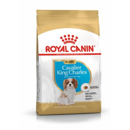 Nourriture Royal Canin Cavalier King Charles Spaniel Puppy Petit/Junior Oiseaux 1