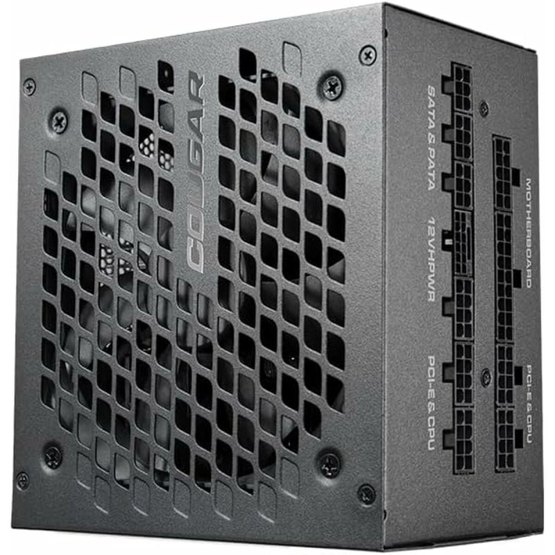 Bloc d’Alimentation Cougar GEX X2 850 W