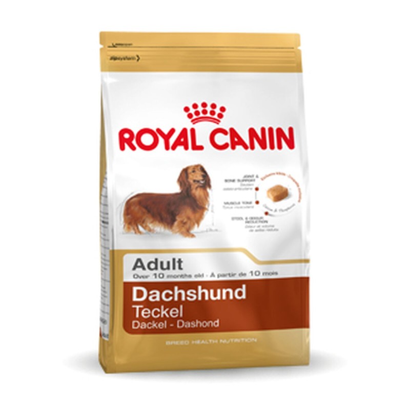 Nourriture Royal Canin Dachshund Adult Adulte Poulet Oiseaux 7