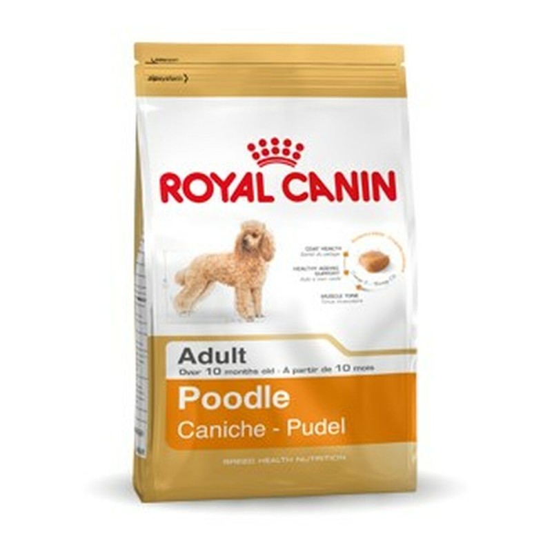 Nourriture Royal Canin Poodle Adult Adulte Poulet 1