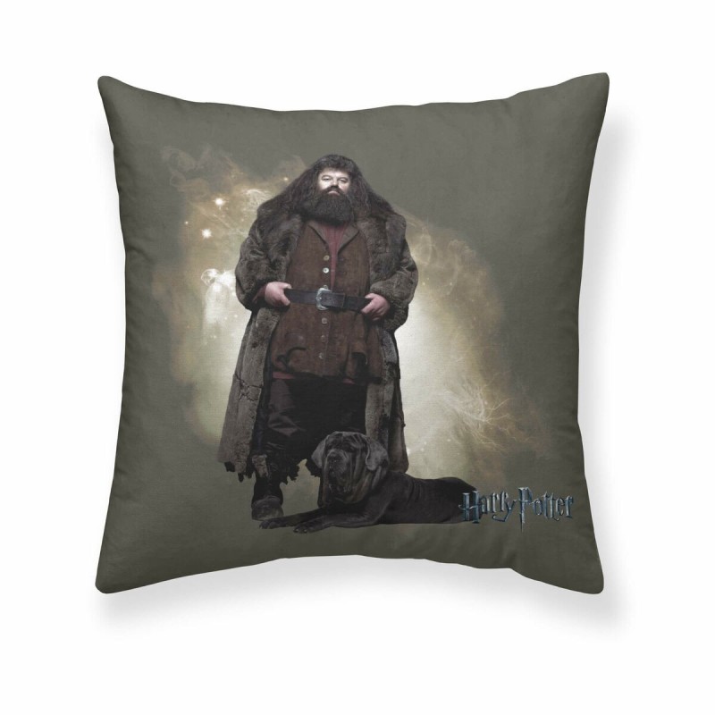 Housse de coussin Harry Potter Hagrid Multicouleur 50 x 50 cm