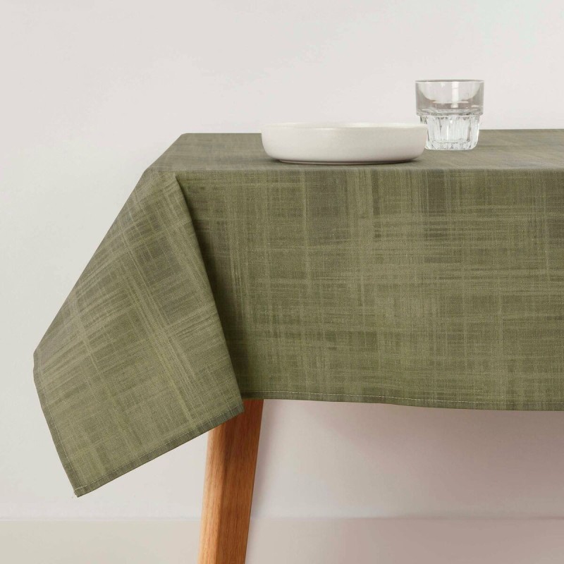 Nappe antitache Belum Liso Olive 250 x 150 cm