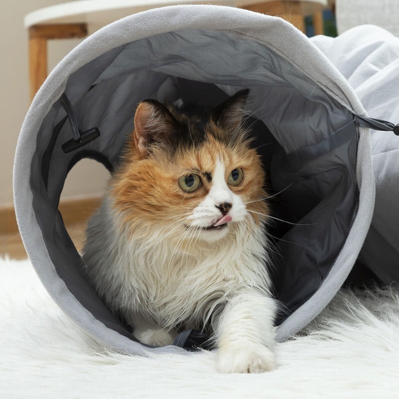 Tunnel de Jeu Pliable pour Animaux de Compagnie Funnyl InnovaGoods