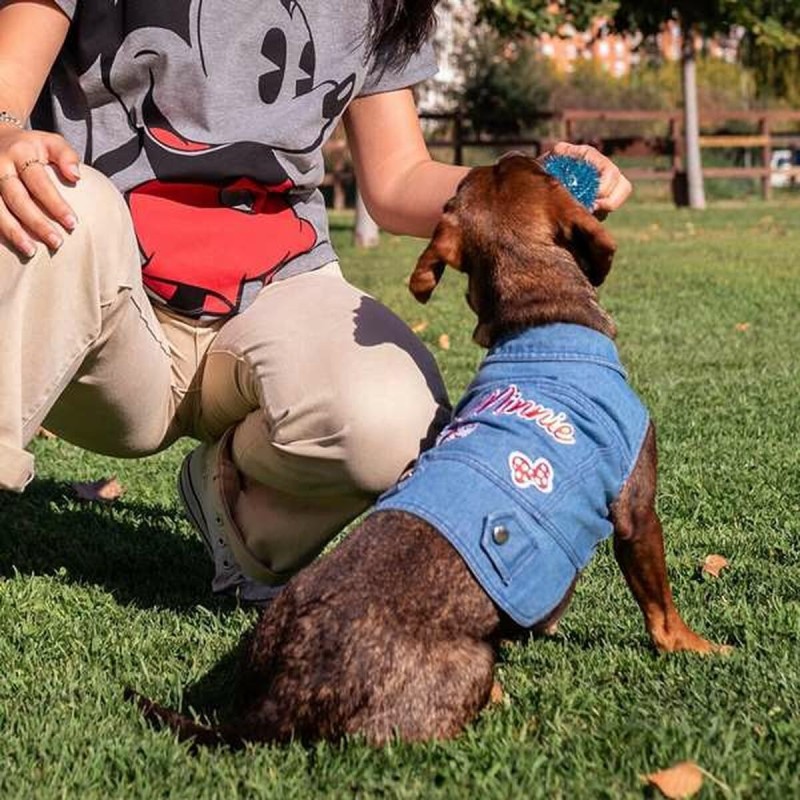 Veste pour chien Minnie Mouse