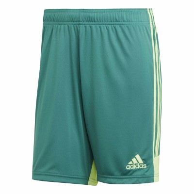 Short de Sport pour Homme Adidas TASTIGO19 SHO Vert