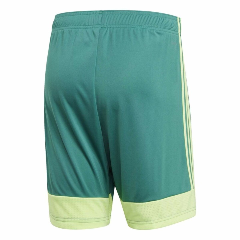 Short de Sport pour Homme Adidas TASTIGO19 SHO Vert