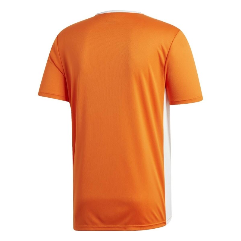 T-shirt à manches courtes homme Adidas