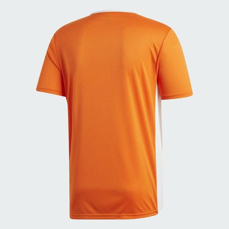 T-shirt à manches courtes homme Adidas