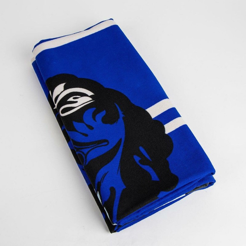 Serviette de plage Harry Potter Bleu 90 x 180 cm