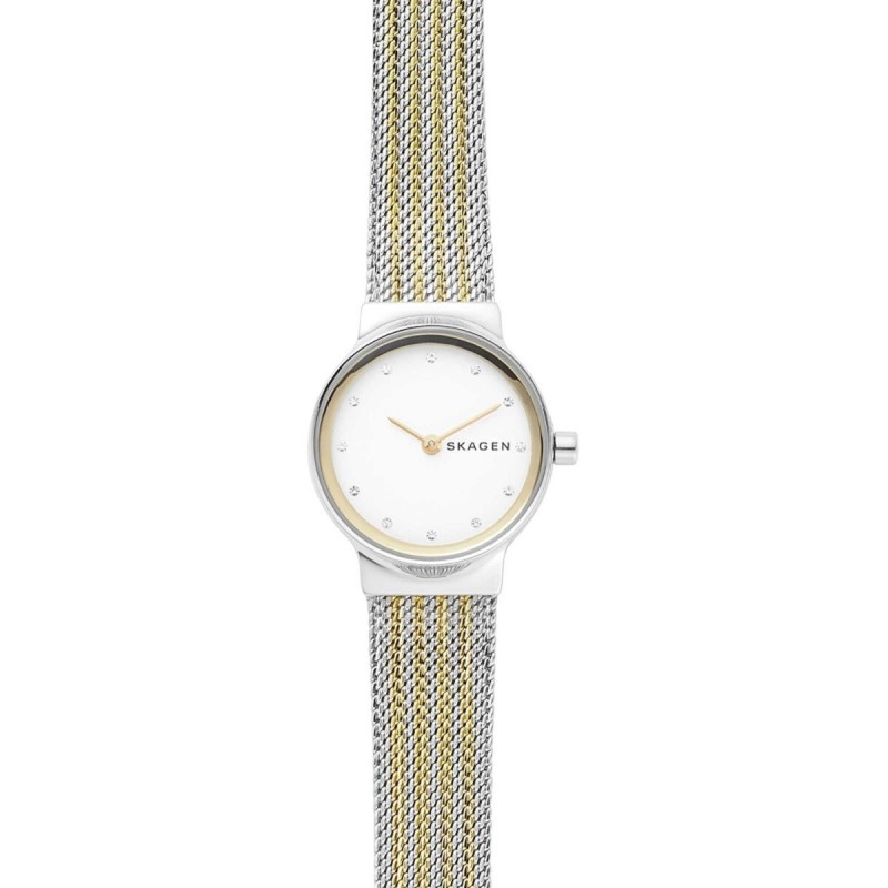 Montre Femme Skagen SKW2698