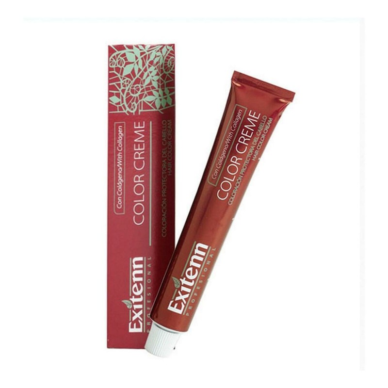 Teinture permanente Color Creme Exitenn Nº V77 Tropical Raspberry (60 ml)