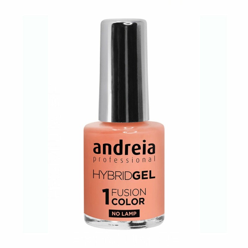 vernis à ongles Andreia Hybrid Fusion H42 (10