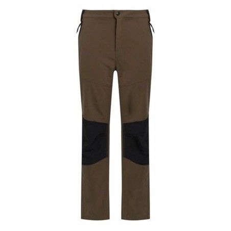 Pantalon de sport long Regatta Questra V Marron