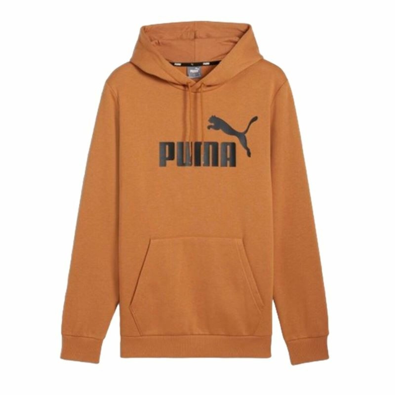 Sweat à capuche homme Puma Essentials Big Logo Hoodie Fl