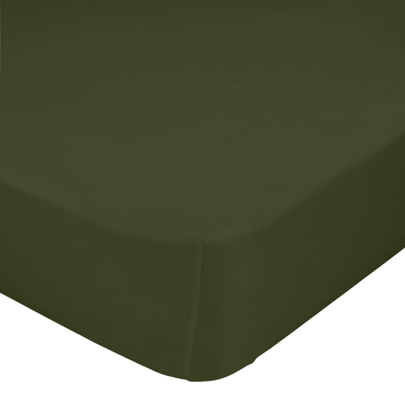 Drap housse HappyFriday Basic Vert foncé 200 x 200 x 32 cm