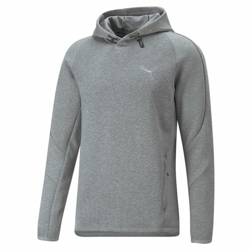 Sweat à capuche homme Puma Evostripe Gris