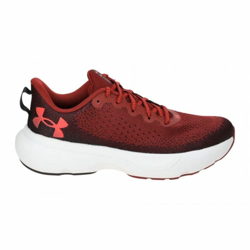 Chaussures de Running pour Adultes Under Armour Infinite Marron